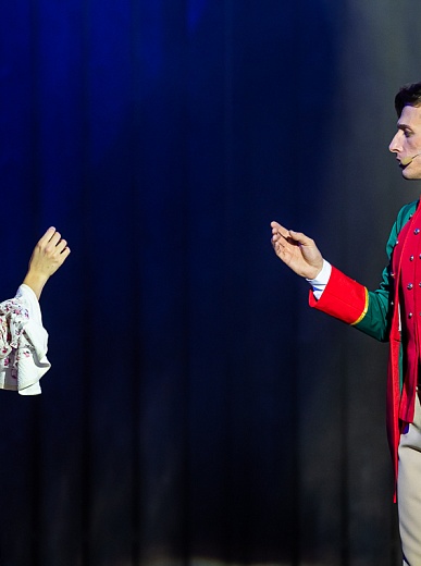 Мюзикл «Капитанская дочка»